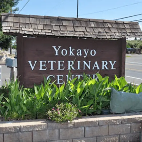 Yokayo Veterinary Center Sign Outside
